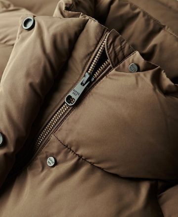 Superdry Winterjacke in Braun