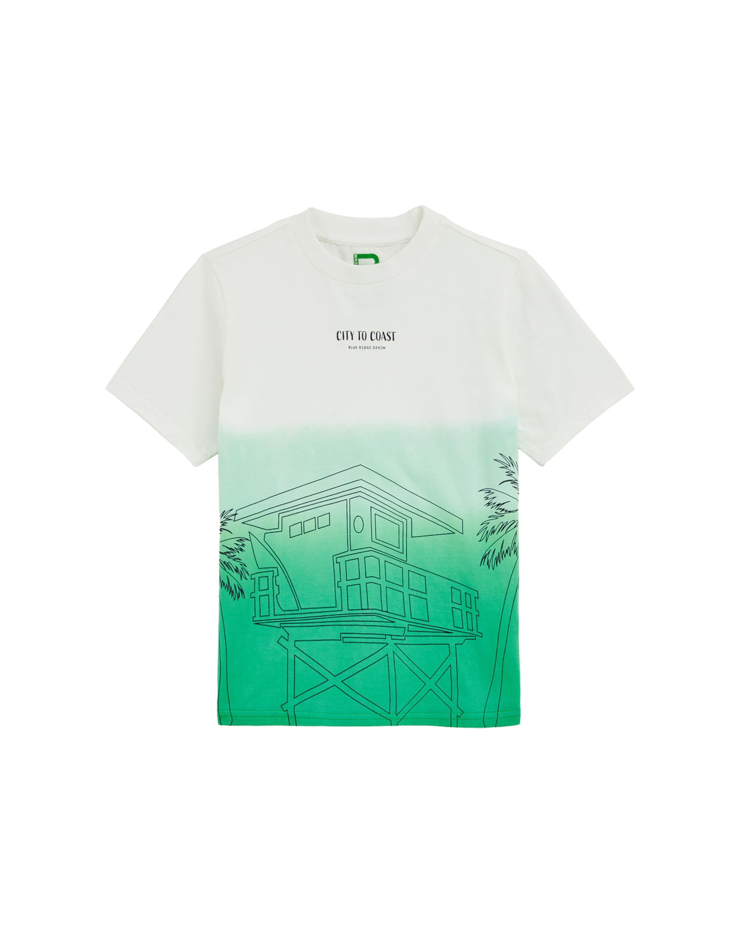 WE Fashion Shirts i grøn: forside