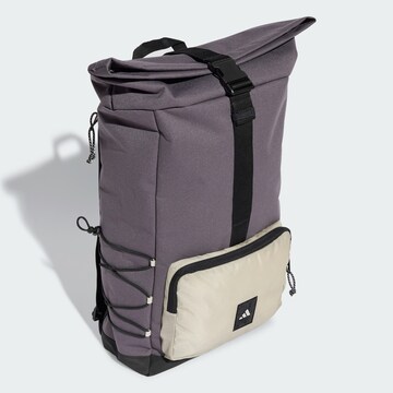 ADIDAS PERFORMANCE Sports backpack 'CityExplorer' in Grey