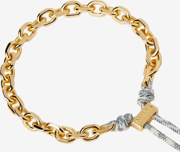 P D PAOLA Bracelet in Gold