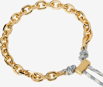 P D PAOLA Bracelet in Gold