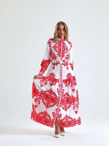 MSN Collection Dress 'Maxi' in Mixed colors