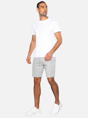 Threadbare Regular Shorts 'Bergamot' in Grau