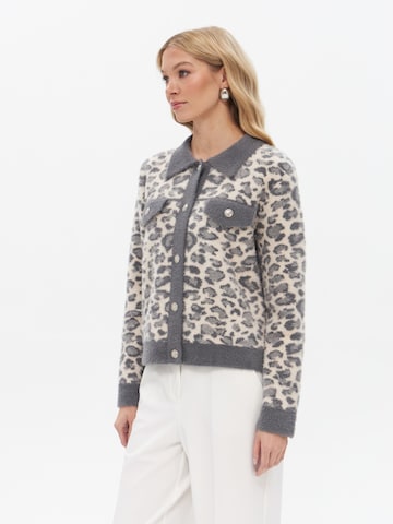 Passioni Knit Cardigan in Grey