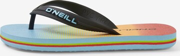 Scarpe da spiaggia / da bagno di O'NEILL in colori misti: frontale