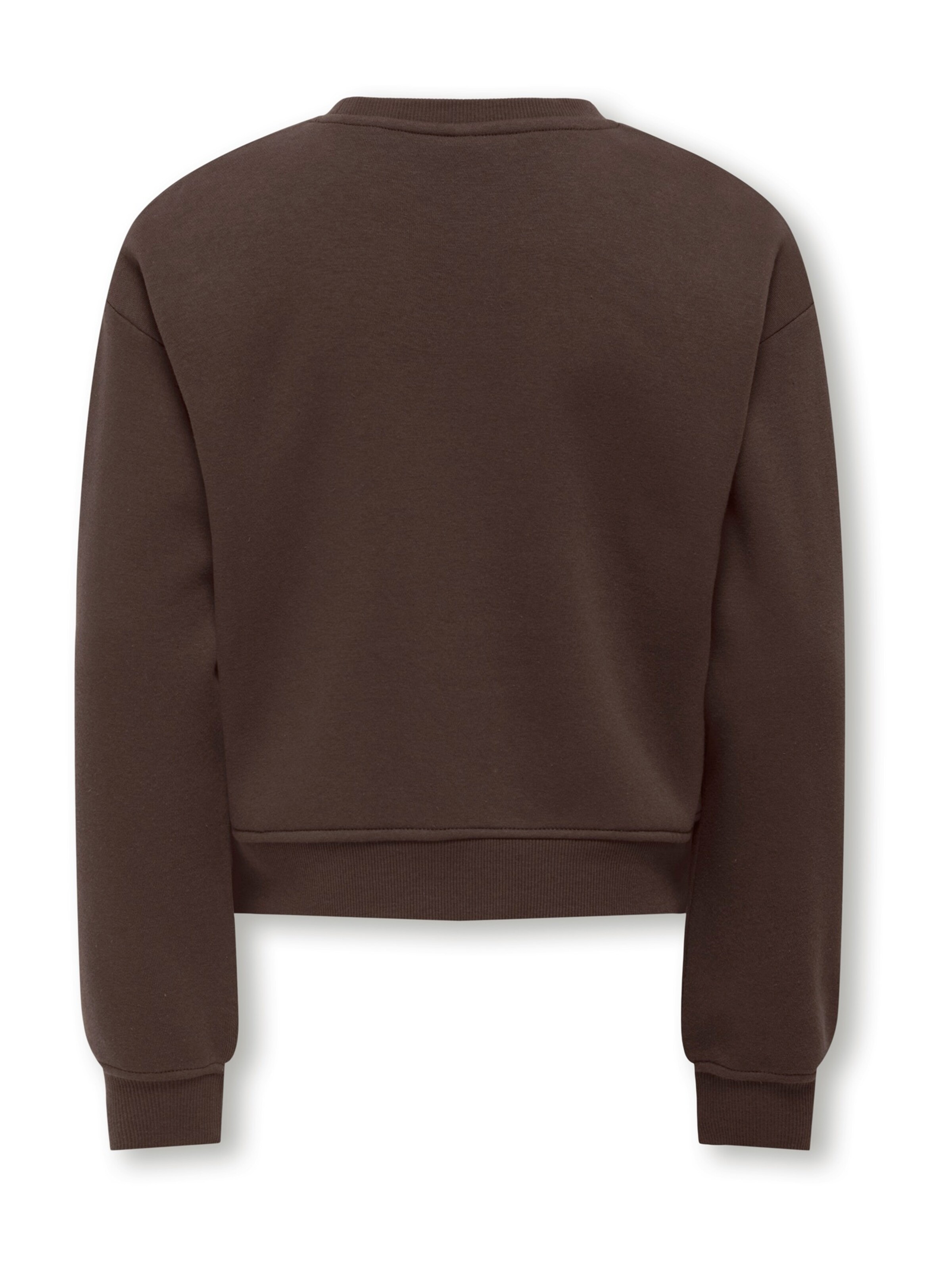 ONLY GIRLS Sweatshirt 'KOGSWEAT' in Bruin