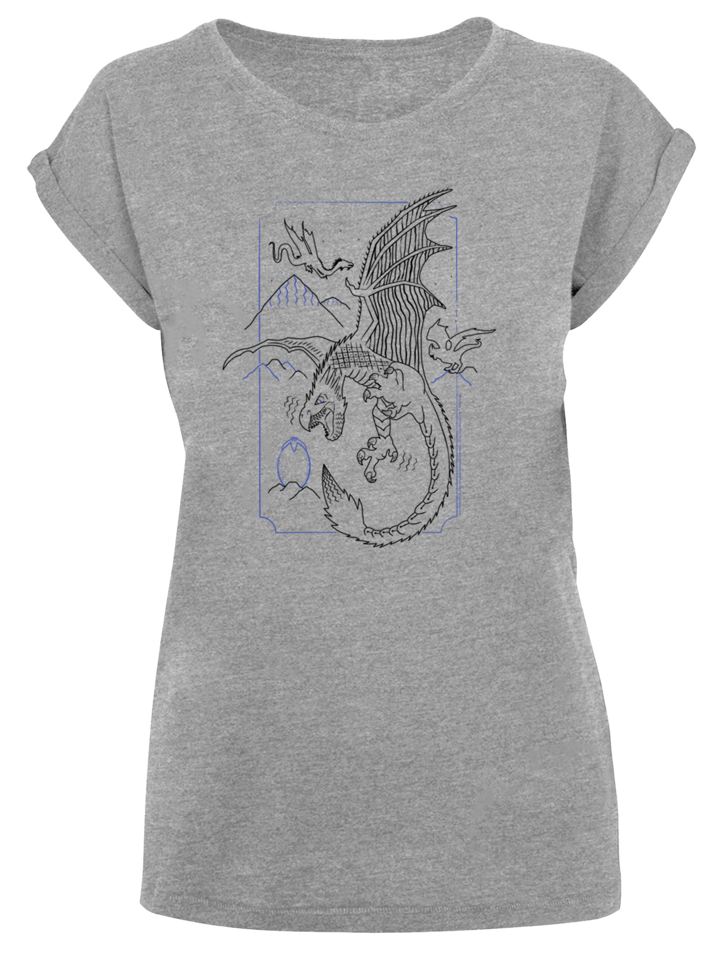 Maglietta 'Harry Potter Dragon' di F4NT4STIC in grigio: frontale
