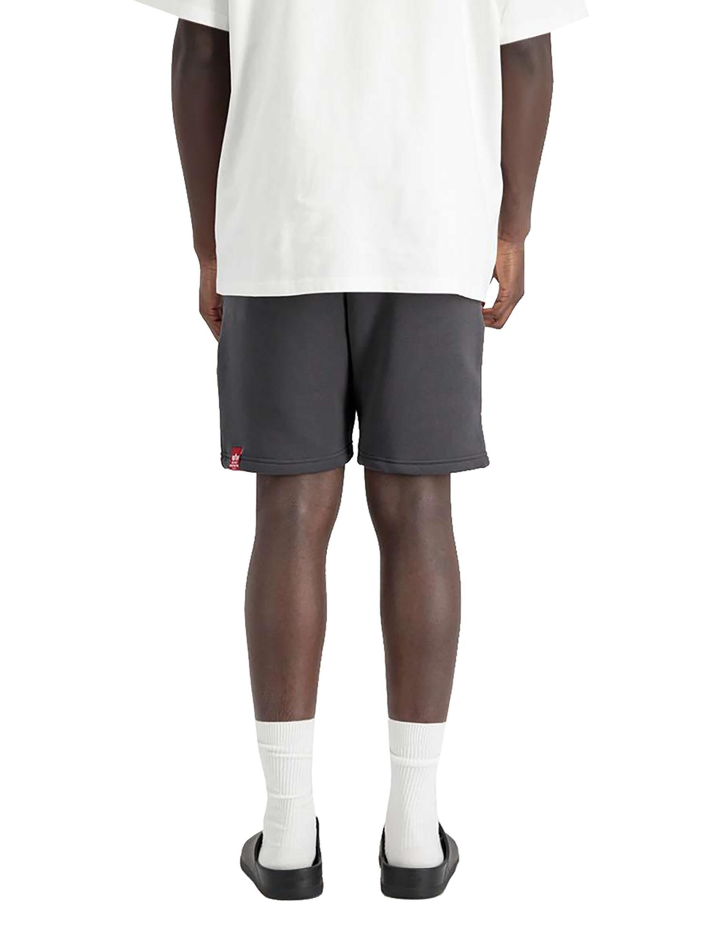 ALPHA INDUSTRIES Regular Pants 'Alpha PP' in Grey