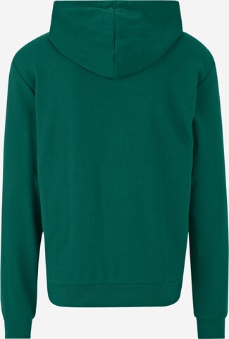 FILA Sweatshirt 'BENGEL' in Groen