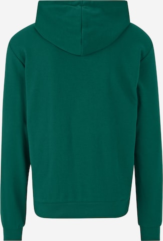 FILA Sweatshirt 'BENGEL' i grøn