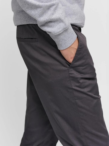SANVT Regular Chinohose 'The Smart Chino'‌‌‌‌‌‌‌‌‌ in Grau