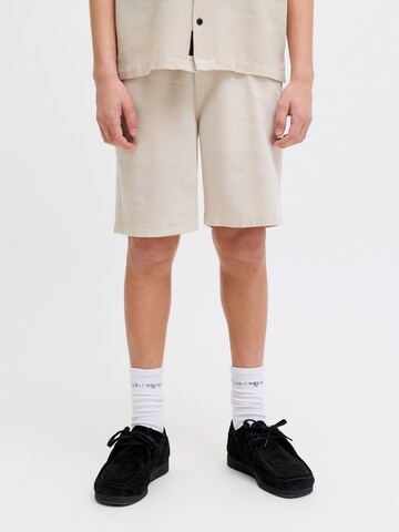 Jack & Jones Junior tavaline Püksid 'JPSTJAIDEN', värv hall: eest vaates