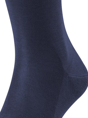 FALKE Knee High Socks 'Tiago' in Blue