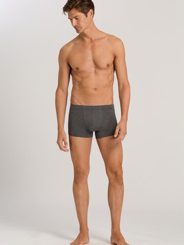 Hanro Boxershorts ' Cotton Essentials ' in Grijs