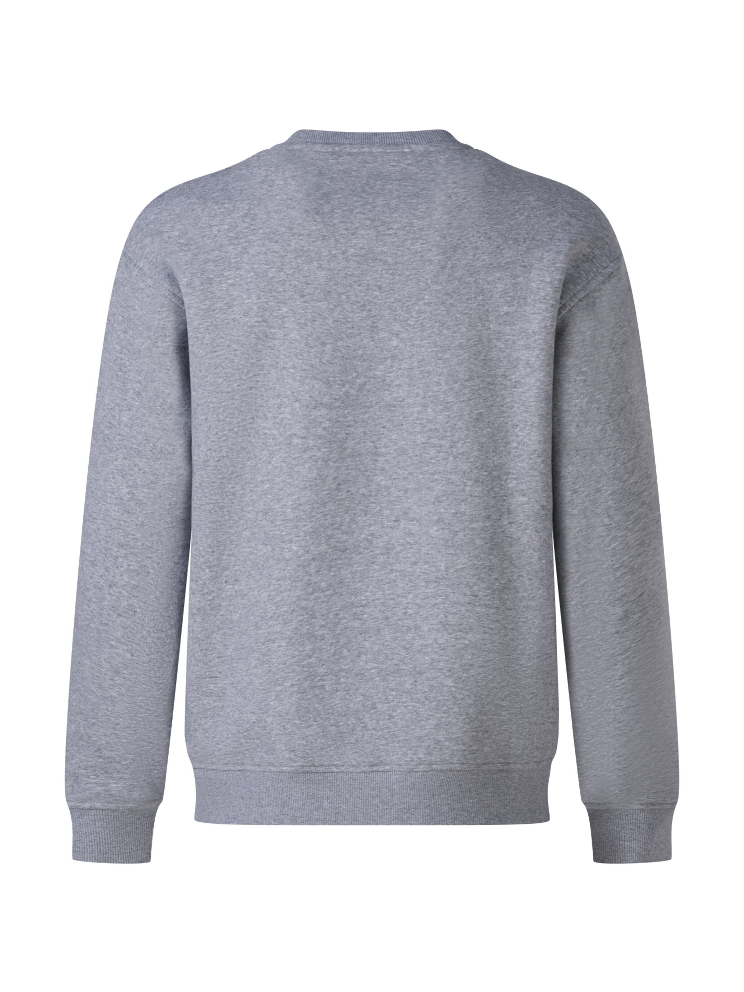 Cordon Sport Sweatshirt 'Adam' in Grey
