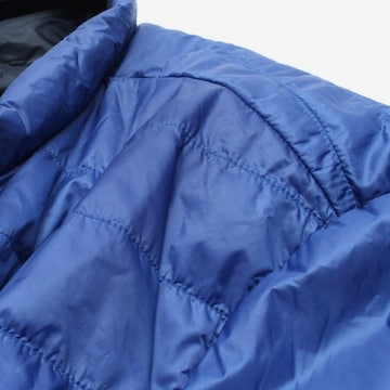 TOMMY HILFIGER Jacket & Coat in L in Blue