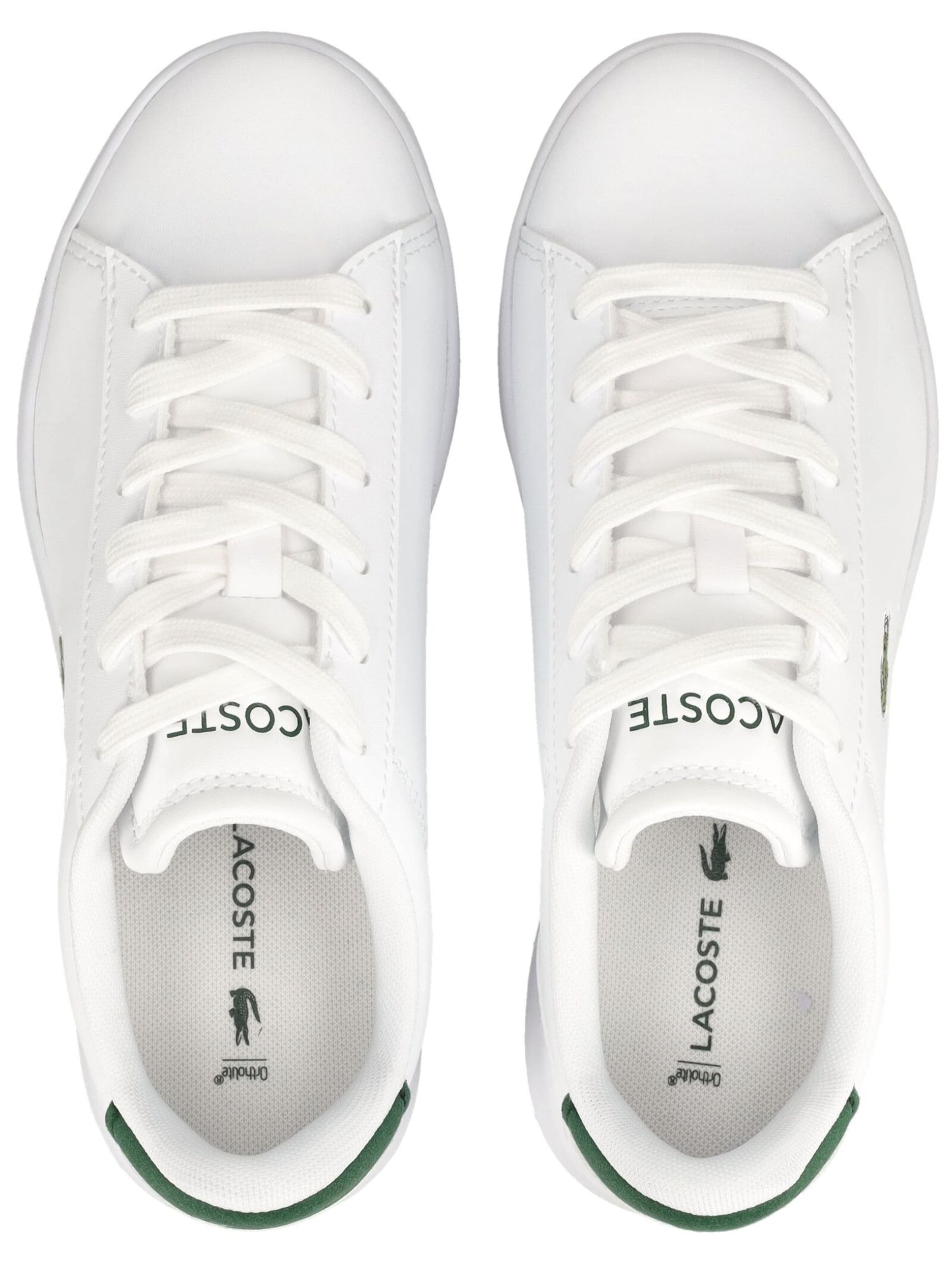 Baskets LACOSTE en blanc