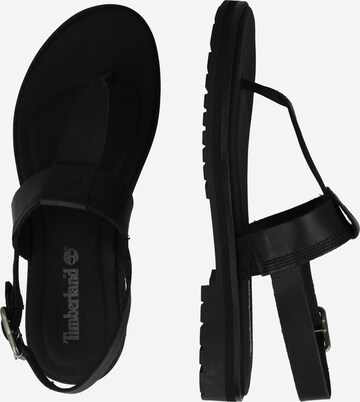 TIMBERLAND T-Bar Sandals in Black