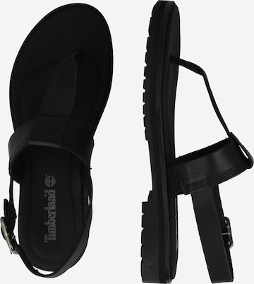 TIMBERLAND Flip-Flops i svart