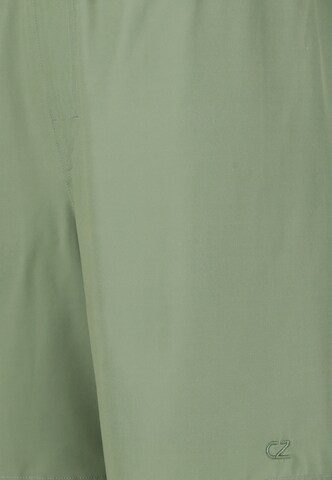 Cruz Zwemshorts 'Baumville' in Groen