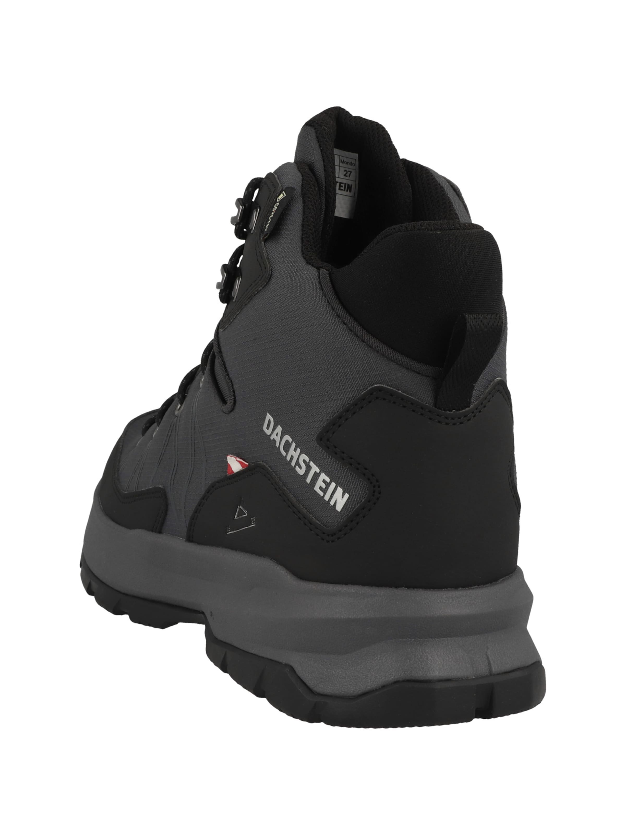 Scarpa bassa di Dachstein in nero