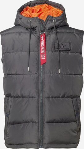 Gilet ALPHA INDUSTRIES en gris : devant