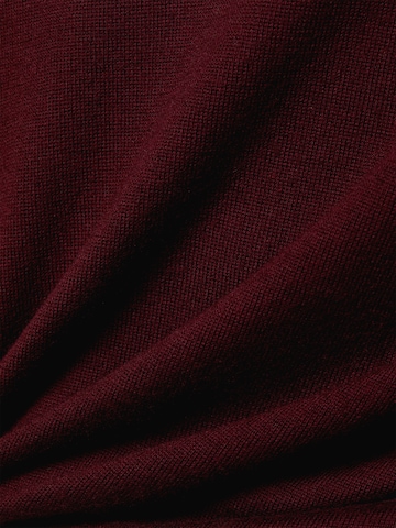 Digel Pullover 'Faros' in Rot