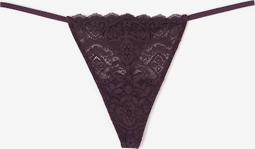 INTIMISSIMI Thong in Purple: front