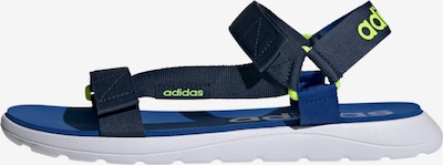 ADIDAS PERFORMANCE Sandal in Blue / Neon green, Item view