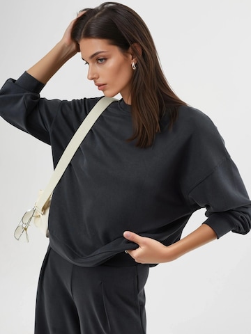 Busem Sweatshirt in Grau