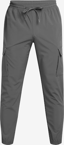 UNDER ARMOUR Tapered Sports trousers in Grey: front