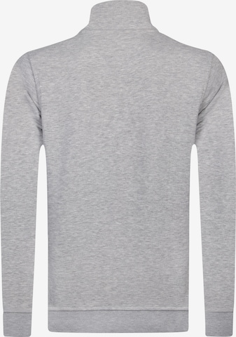 DENIM CULTURESweater majica 'Alcinoo' - siva boja