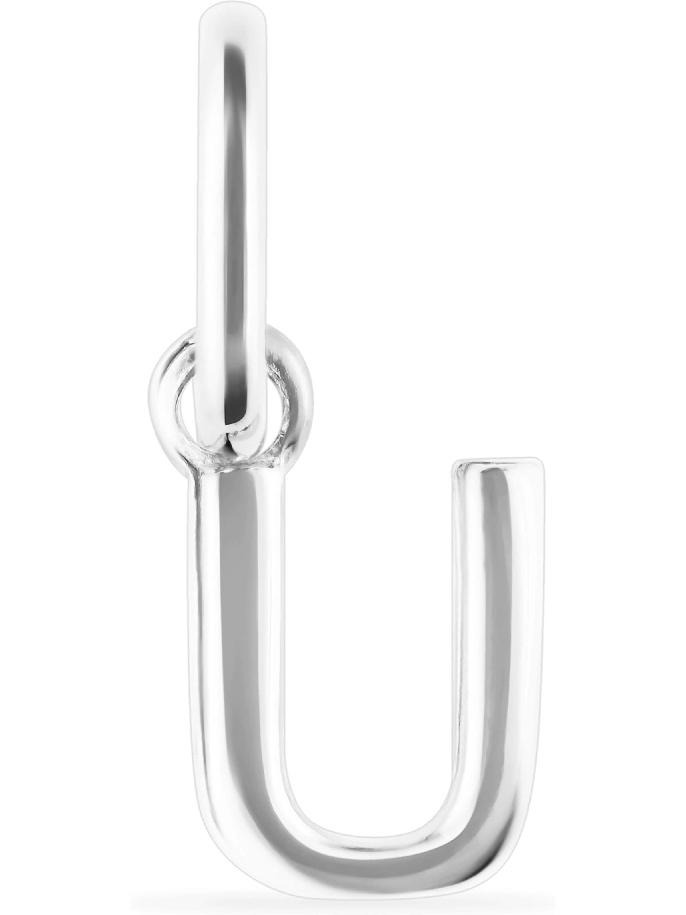 FAVS Anhänger in Silber: Vorderseite