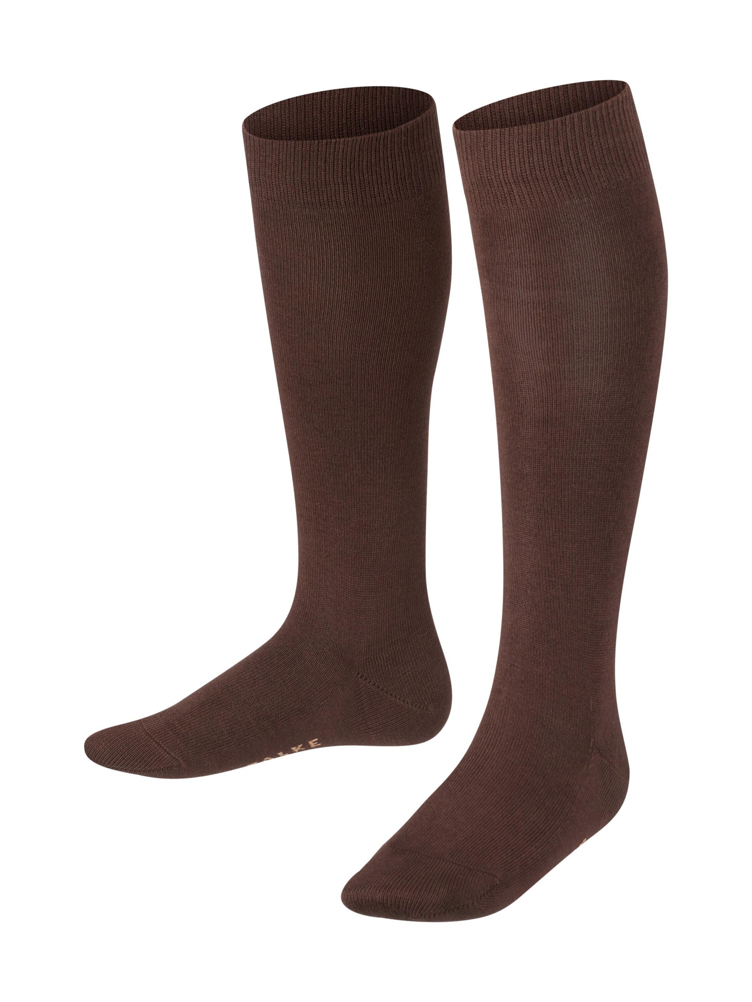 FALKE Socken 'Family' in Braun: Vorderseite