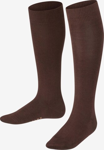 FALKE Socken 'Family' in Braun: Vorderseite