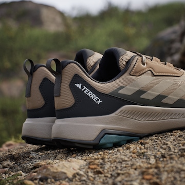 ADIDAS TERREX Χαμηλό παπούτσι 'Anylander' σε καφέ
