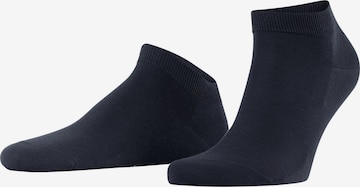 FALKE Socken 'ClimaWool' in Blau: Vorderseite