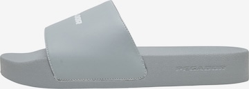 Mule Pegador en gris : devant