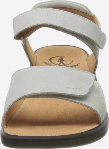 Ganter Sandals in Grey