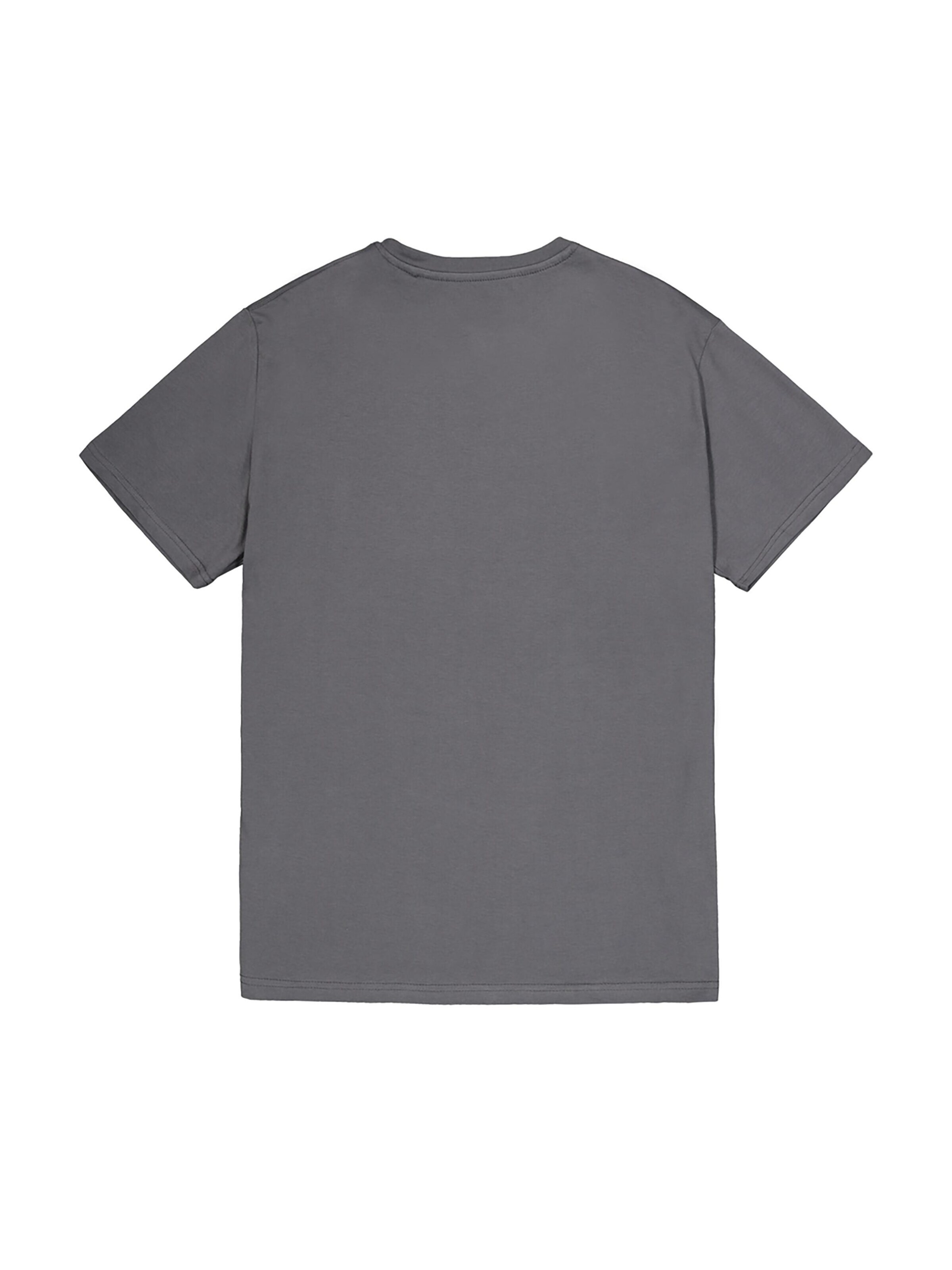 ALPHA INDUSTRIES Shirt 'Basic Mid Logo' in Grey