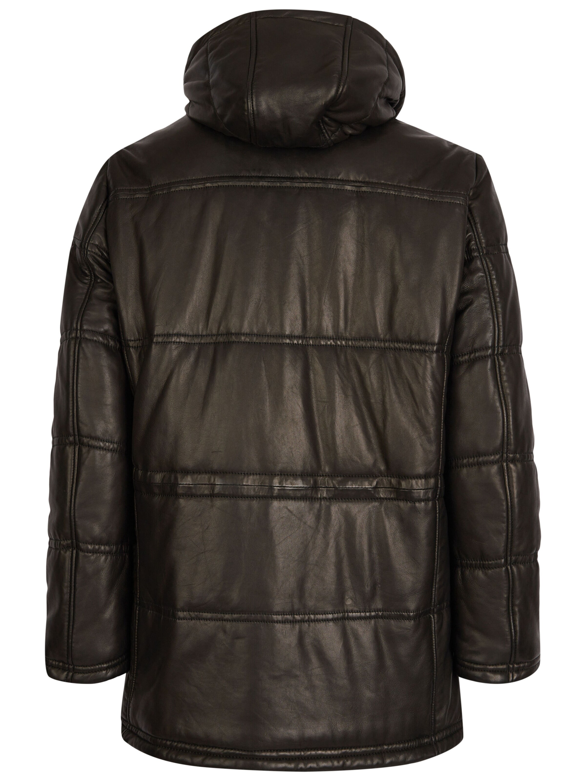 bugatti Tussenjas 'BUFrederico' in Bruin