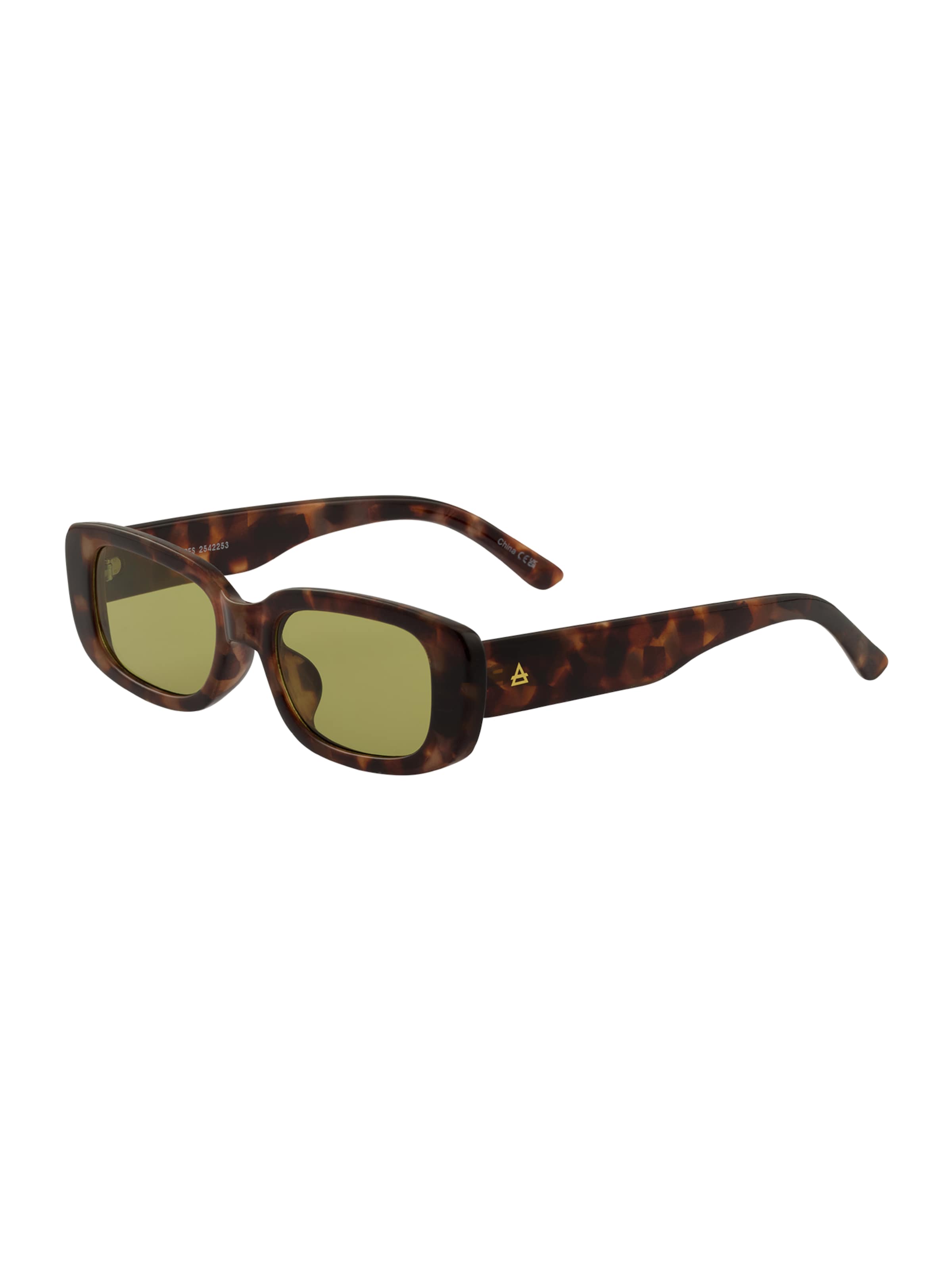 Aire Sunglasses 'CERES' in Brown: front