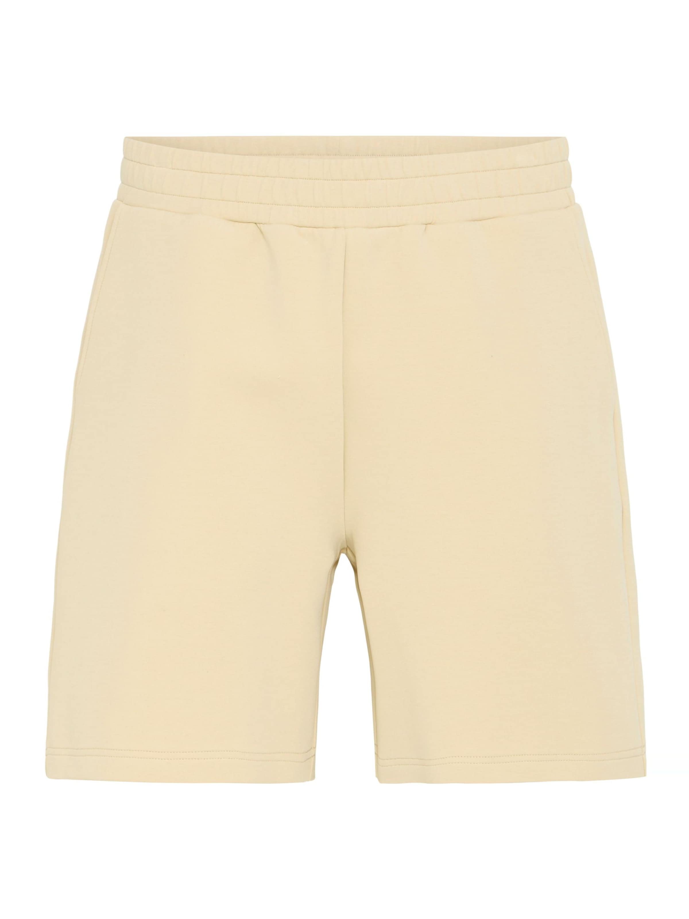 regular Pantaloni ' SDRoland ' di !Solid in beige: frontale