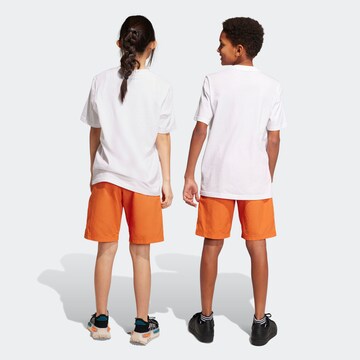 Regular Pantalon de sport 'Adventure' ADIDAS ORIGINALS en orange