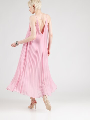 Robe & Other Stories en rose
