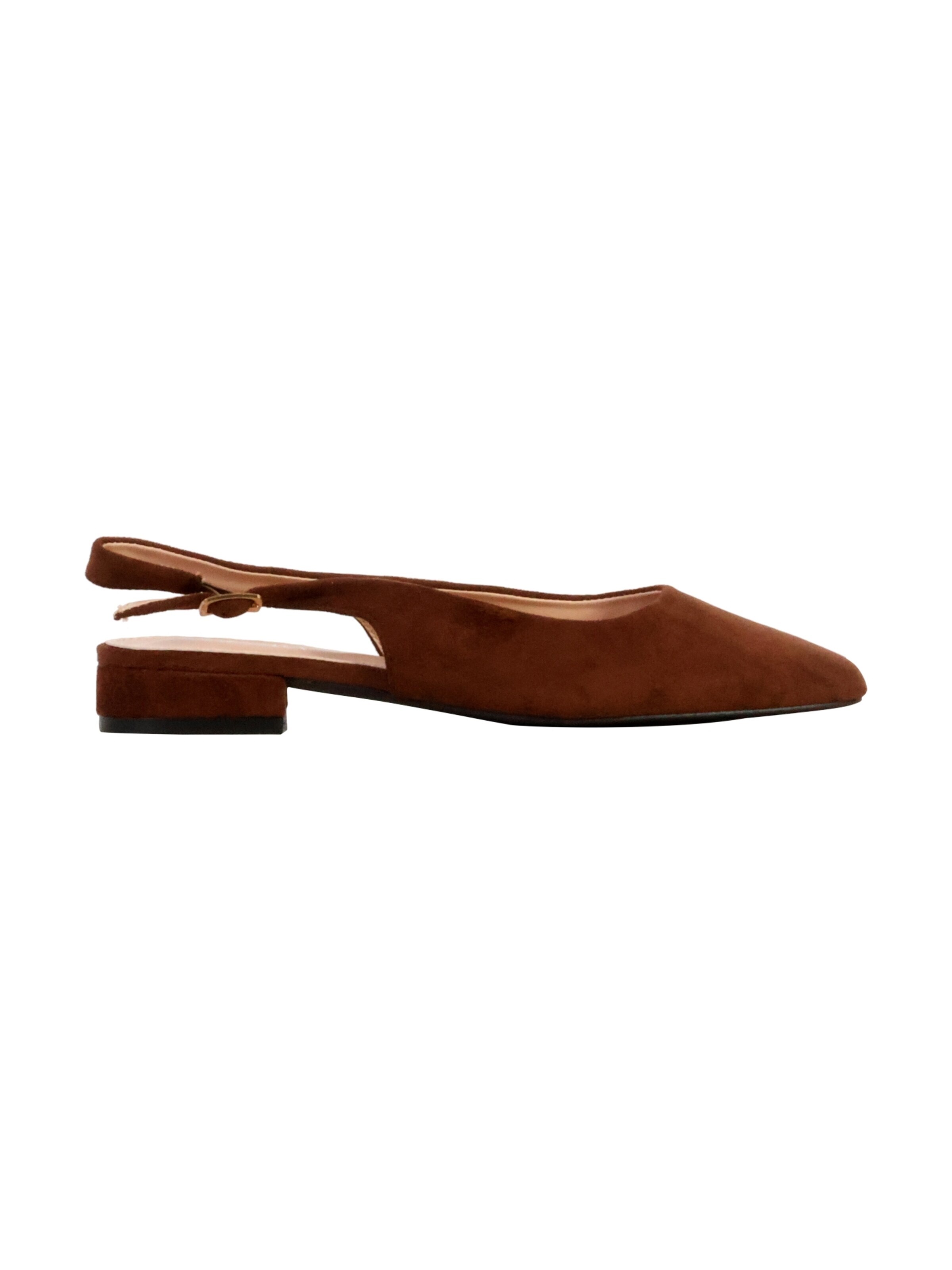Joia Pumps 'Pumps mit Riemchen' in Brown