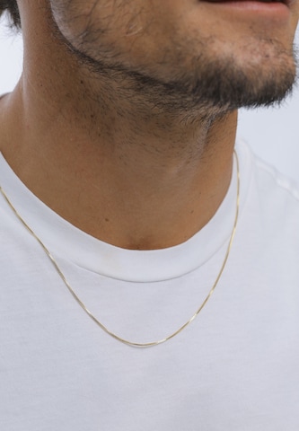 KUZZOI - Cadena en oro: frente