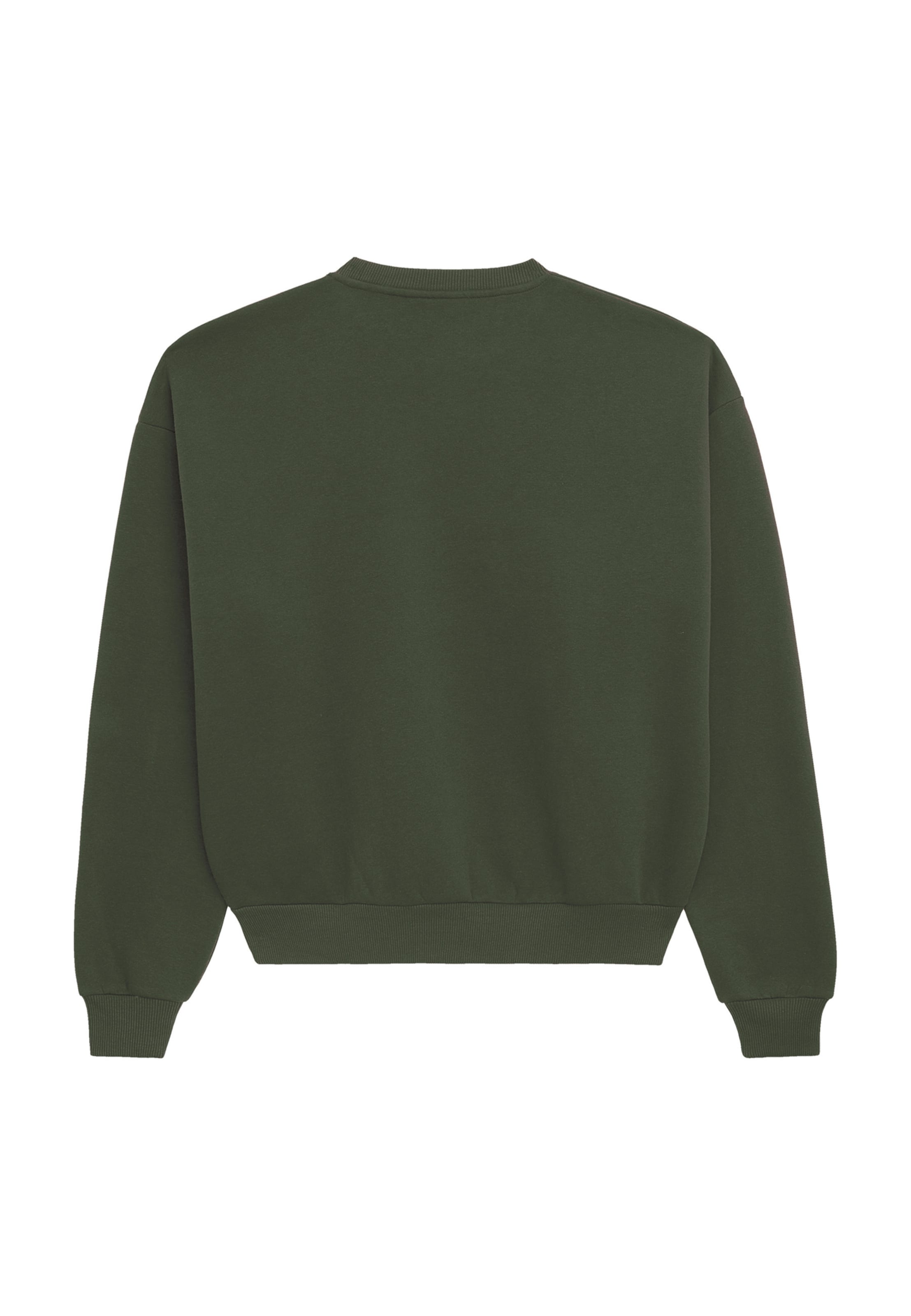 Prohibited Sweatshirt 'Berlin' in Green