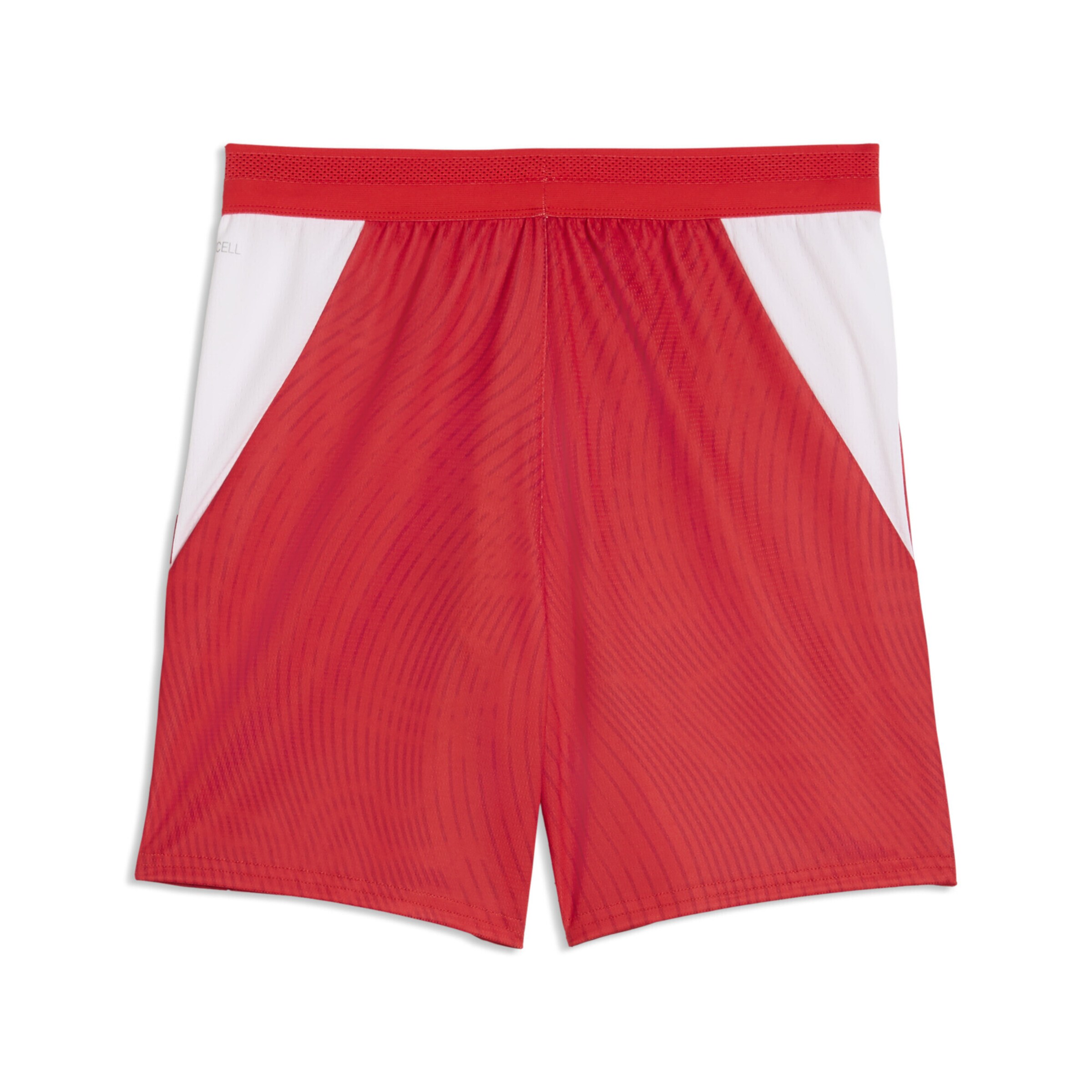 PUMA Regular Sportshorts 'Schweiz 2026' in Rot
