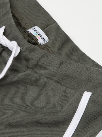 Tezenis Regular Pants in Green